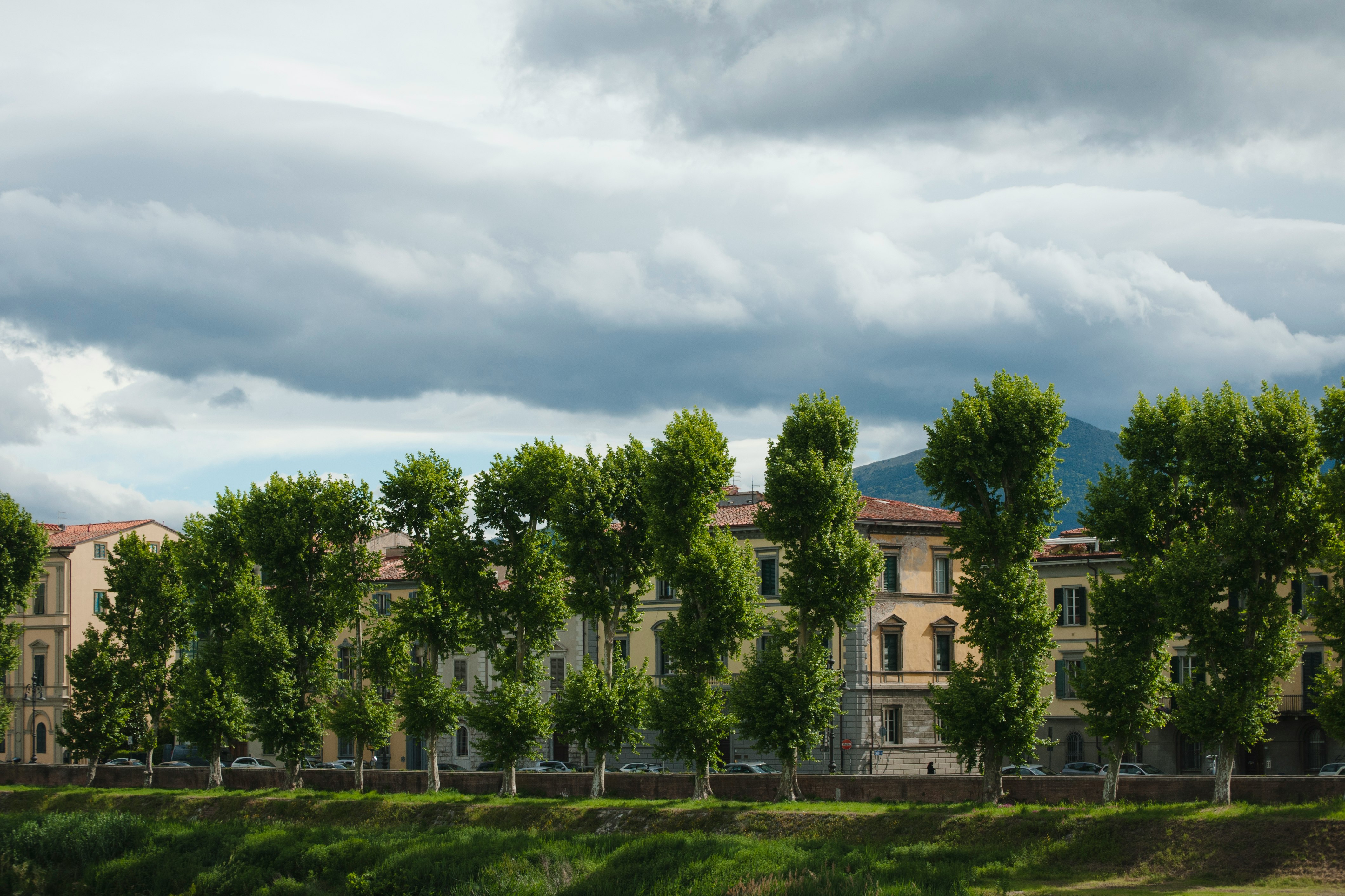 buildings surrounded with trees under cloudy sky